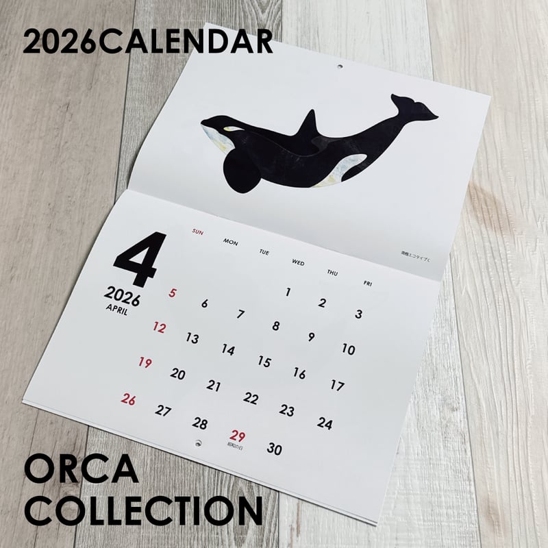 2026年壁掛け・シャチカレンダー ORCA COLLECTION | クジラの雑貨屋さん