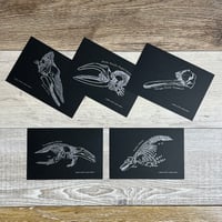 ホネホネブラックポストカード