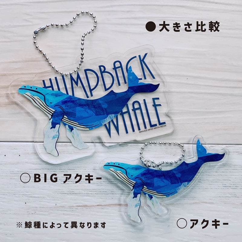 BIGアクキー ホッキョククジラ | クジラの雑貨屋さん