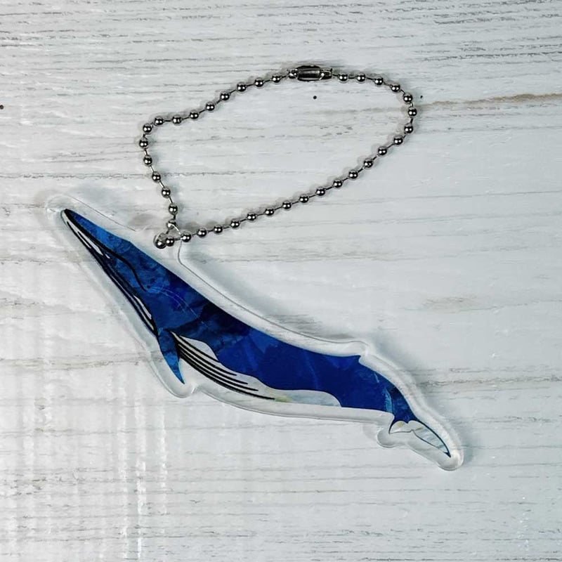 アクリルキーホルダー：ツノシマクジラ | クジラの雑貨屋さん