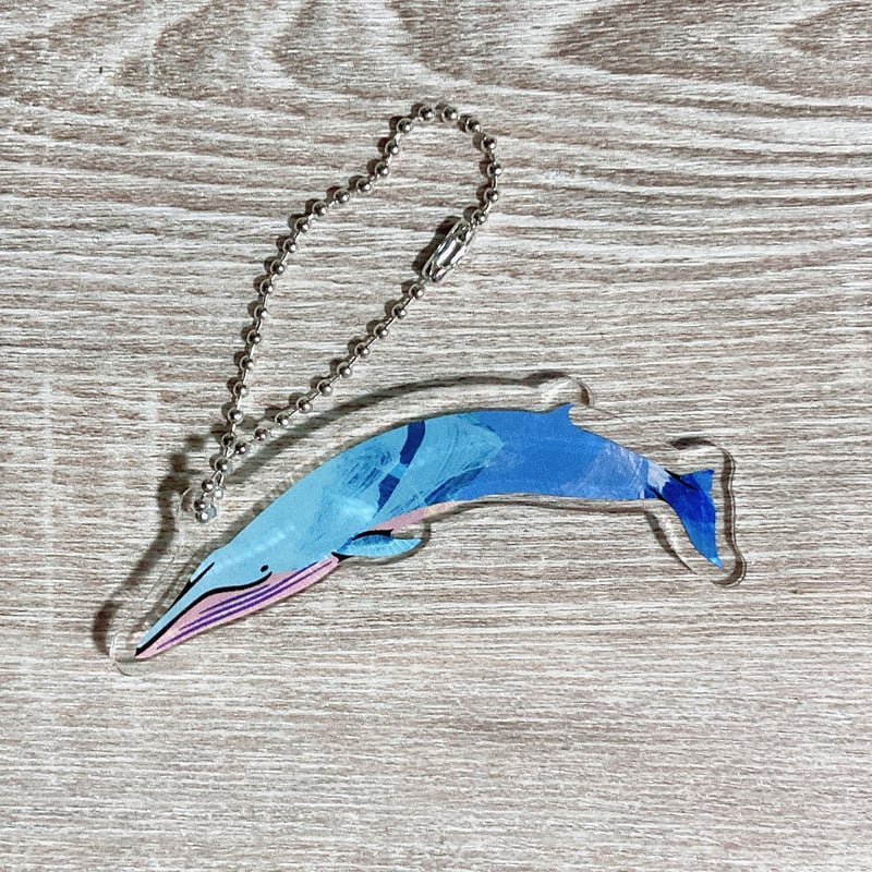 アクリルキーホルダー：ニタリクジラ | クジラの雑貨屋さん
