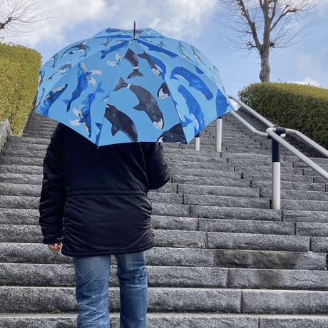 WHALE- umbrella　No rain,no rainbow.