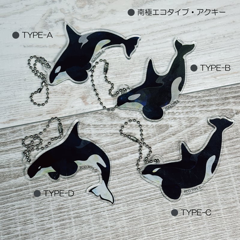 シャチ・南極エコタイプアクキー全4種 | クジラの雑貨屋さん