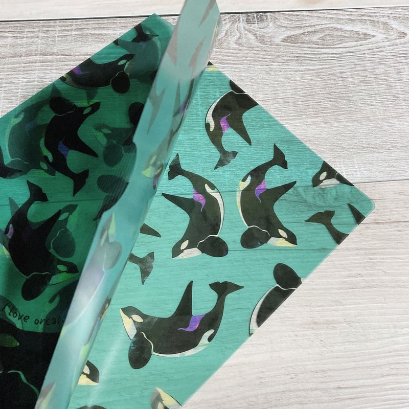 シャチ A4クリアファイル | クジラの雑貨屋さん