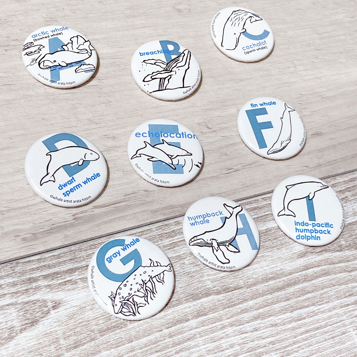 アルファベット缶バッジ A～I | クジラの雑貨屋さん