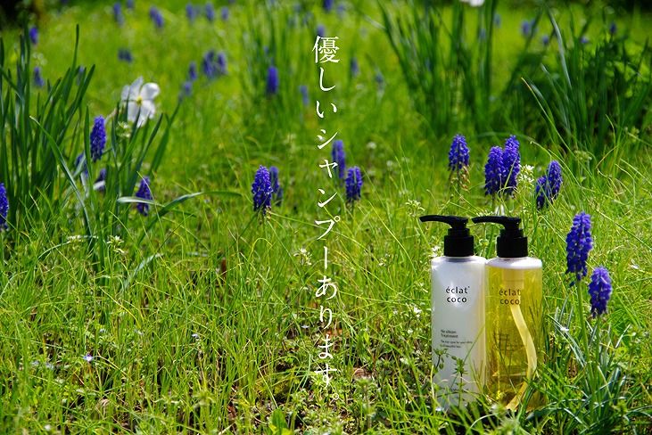 éclat coco シャンプー 500ml（詰替） | éclat coco