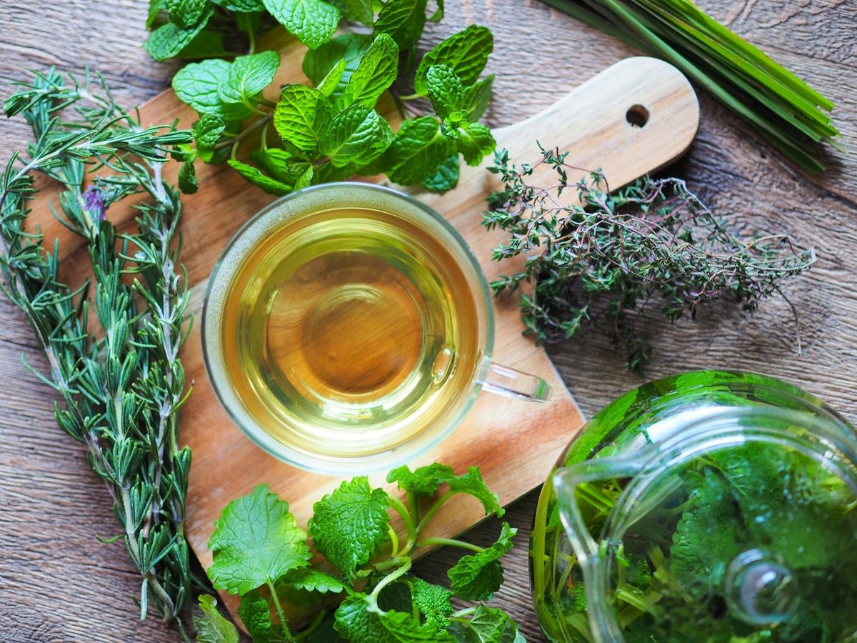 無農薬 レモングラス 抜き苗 3本 【公式通販】