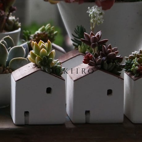 TOKIIRO HOUSE graytop 2025