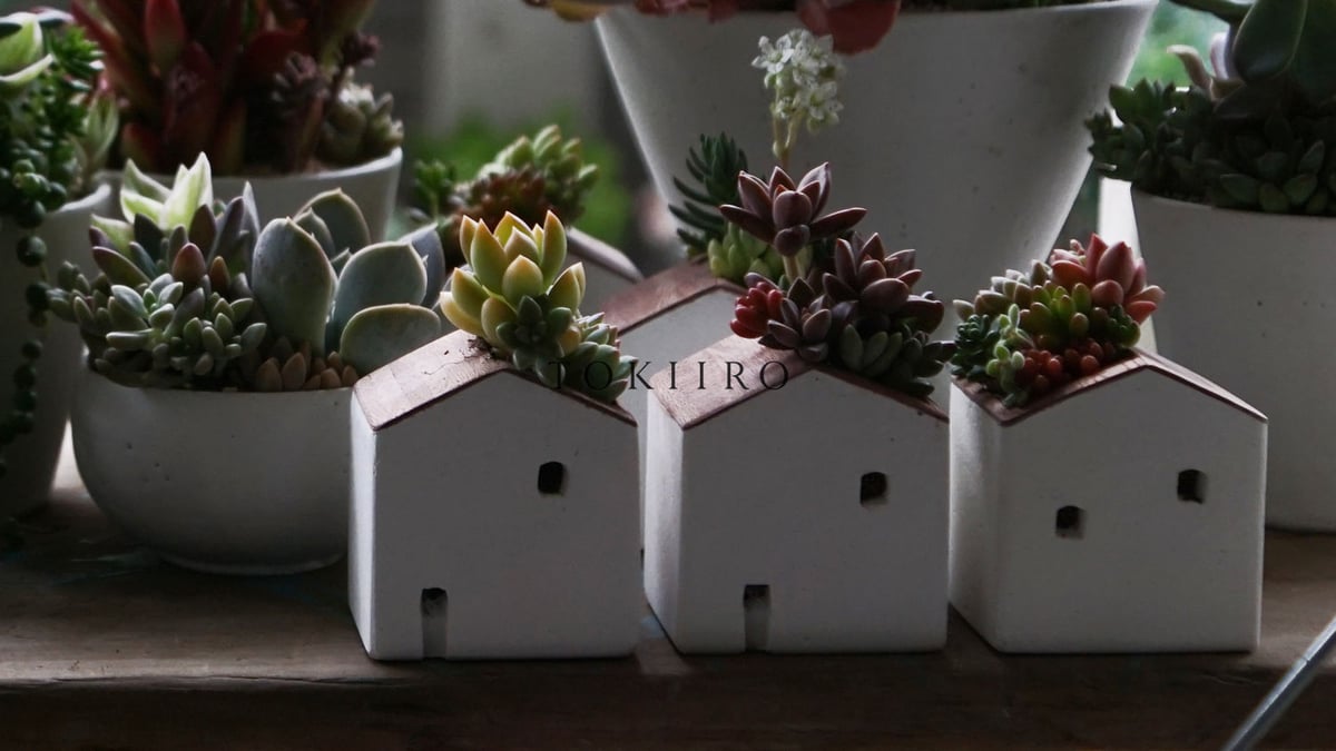TOKIIRO HOUSE graytop 2025 | TOKIIRO ONLINESTORE