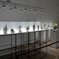 [NEW]植物育成ライトBrim COSMO 22W
