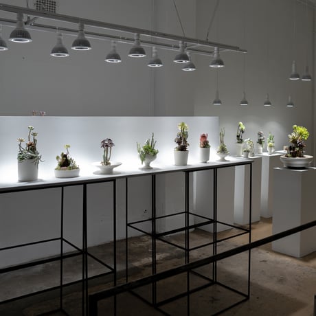 CATEGORY 植物育成ライト | TOKIIRO ONLINESTORE