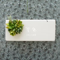 多肉植物のタブロー（TABLEAU）壁掛け　8cm×20cm　※9/1現在、お届けまで1か月予定