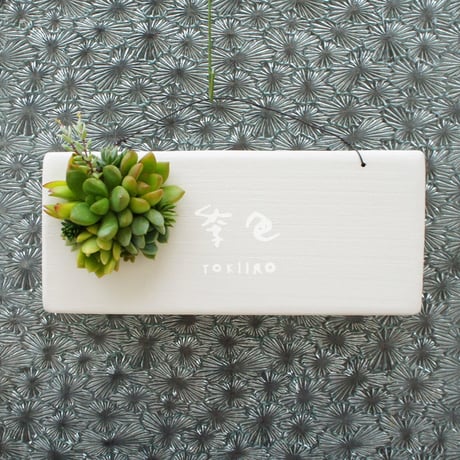 多肉植物のタブロー（TABLEAU）壁掛け　8cm×20cm　※9/1現在、お届けまで1か月予定