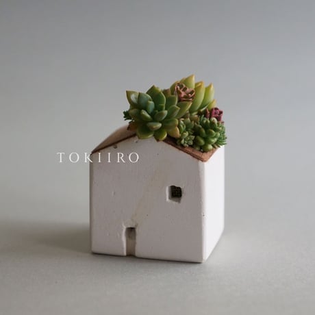 TOKIIRO HOUSE 2025