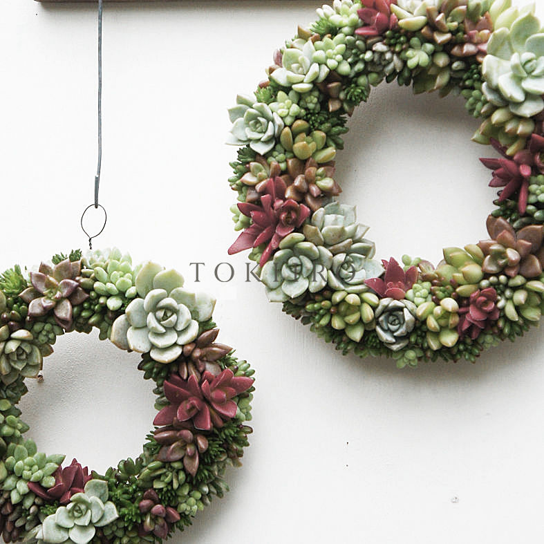 Wreath 多肉植物のリースM ※11/1現在、お届けまで1か月前後予定 Wreath 多肉植物のリースM ※11/1現在、お届けまで1か月前後予定