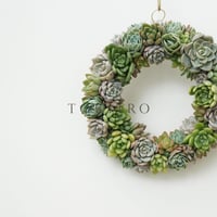Wreath 多肉植物のリースL　※11/20現在、お届けまで3週間前後予定