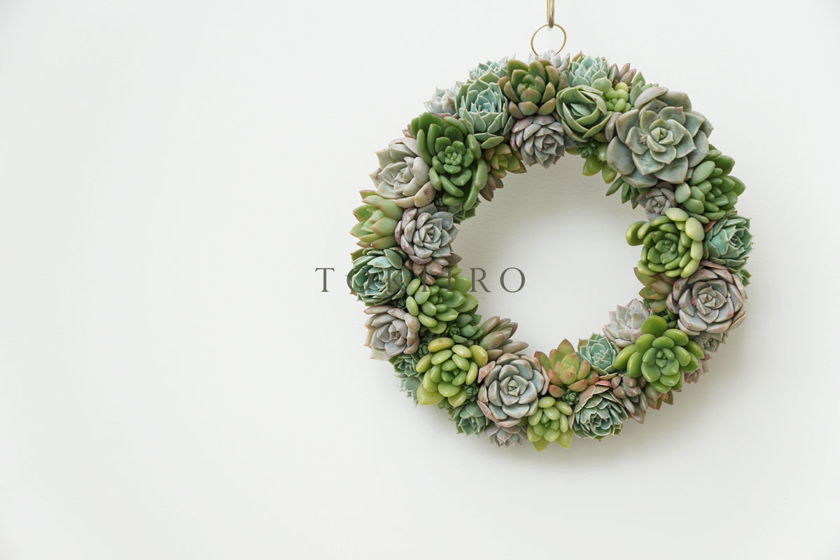 Wreath 多肉植物のリースL ※11/1現在、お届けまで1か月予定 Wreath 多肉植物のリースL ※11/1現在、お届けまで1か月予定