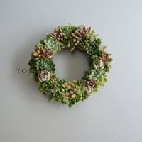 Wreath 多肉植物のリースM　※11/20現在、お届けまで3週間前後予定