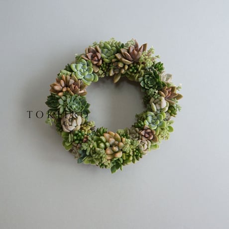 Wreath 多肉植物のリースS　※11/20現在、お届けまで3週間前後予定