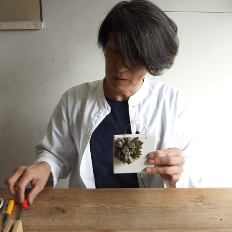 TOKIIROタブロー制作キット　多肉植物切り芽付