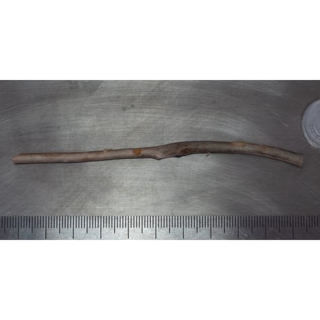 深海松　未研磨原木　39212