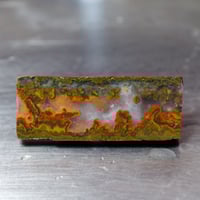 深海松 原木 262010 | mineralhonpo