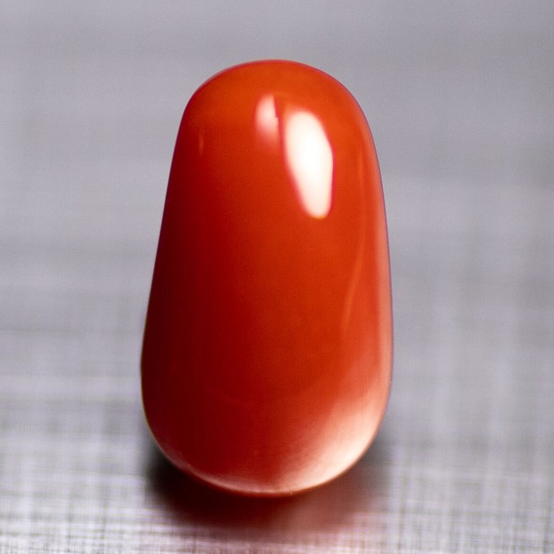 血赤珊瑚 ルース 30614 | mineralhonpo