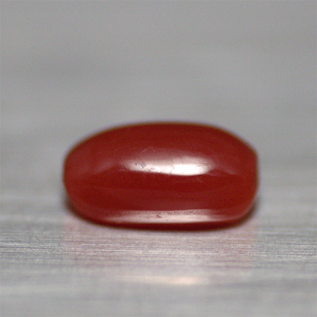 血赤珊瑚　ルース　018
