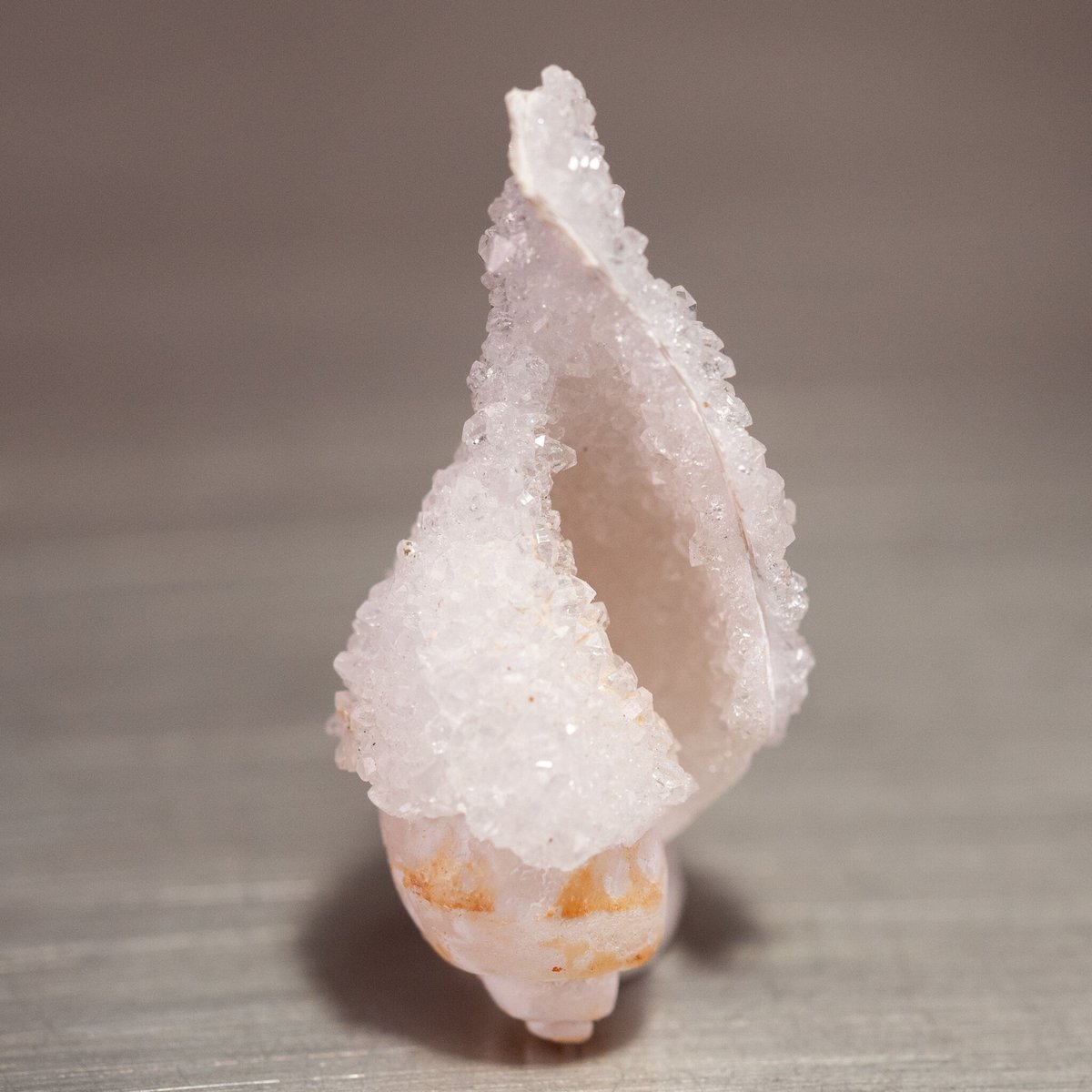 ドゥルージーシェルアゲート 36514 | mineralhonpo