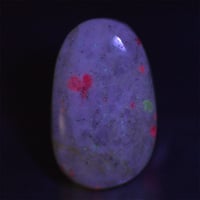 ボルダールビー　　　225003