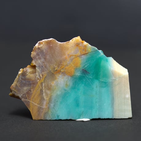 CATEGORY ペトリファイドウッド | mineralhonpo