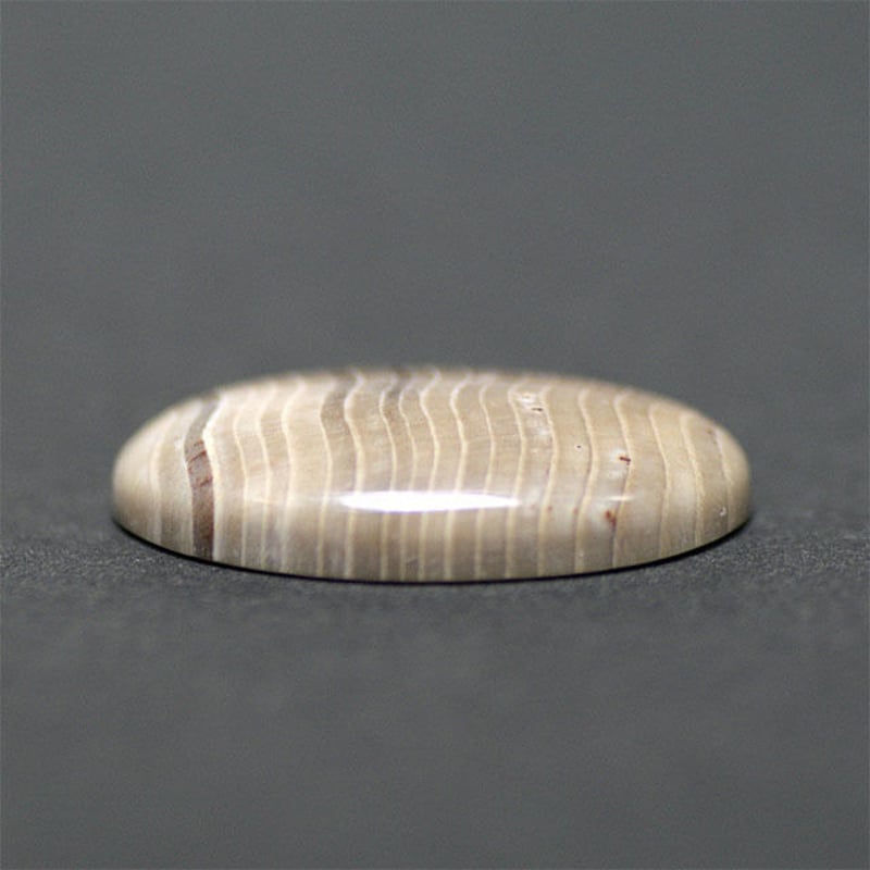 ミャンマー産 ウッドカルセドニー(ペトリファイドウッド)ルース ペトリファイドウッド ルース 001 | mineralhonpo