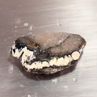 ニューランダーロイヤルウェブターコイズ　原石　74248