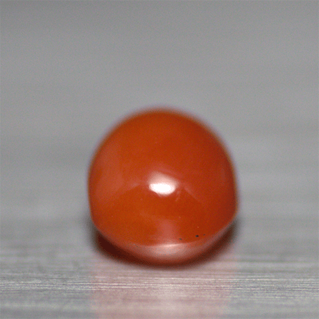 赤珊瑚　ルース　015