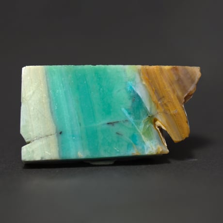 CATEGORY ペトリファイドウッド | mineralhonpo