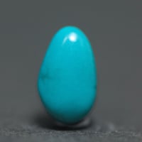 フォックスターコイズ　171