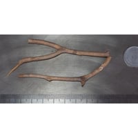 深海松　海松 深海松、海松、根付、トンボ玉、ルアーヘット、スーパーブルー玉虫色