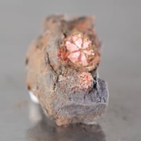 桜石 39711