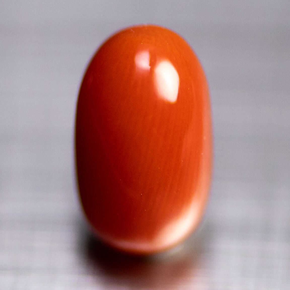 血赤珊瑚 ルース 30612 | mineralhonpo