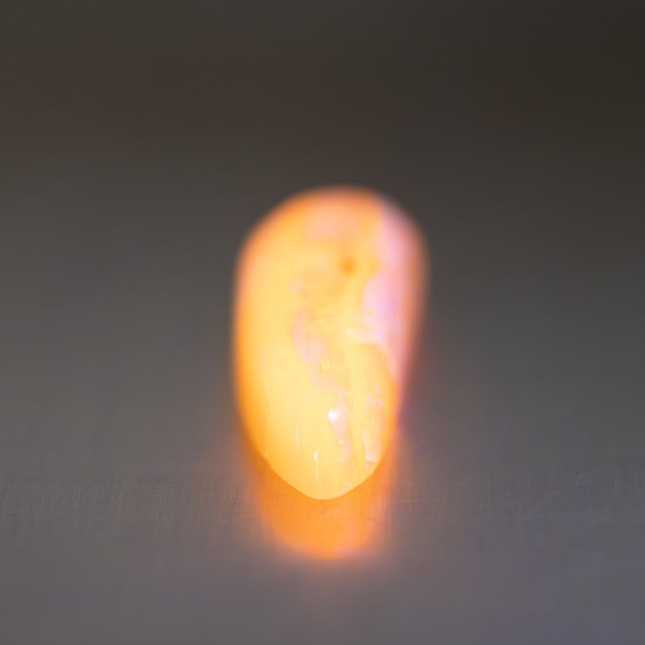 61408c14acbcb02682216e63