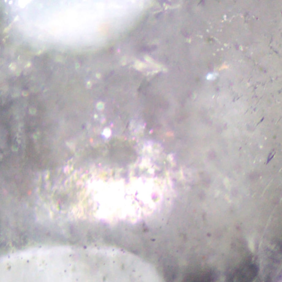 5eea2b52561e1755ec04def7