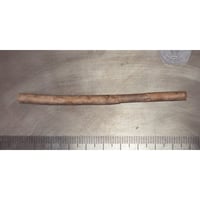 希少珊瑚 ☆深海松 海松 Yahoo!オークション - 希少価値 コレクション 海松 深海松 宝石珊瑚 レ