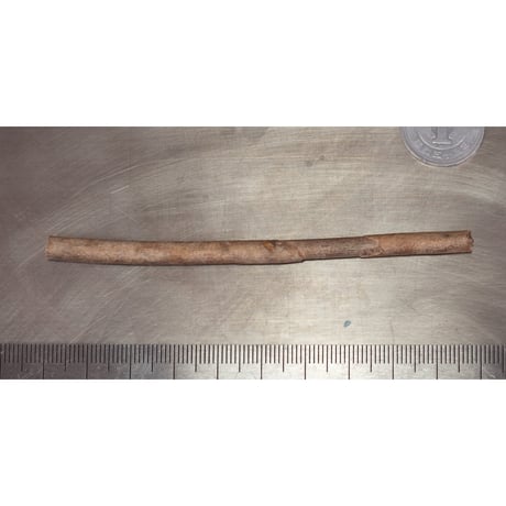 深海松　未研磨原木　39202