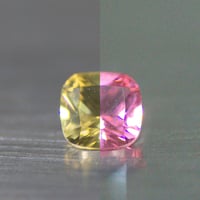 ナノジタル　ルース　　5*5　＃204　222024