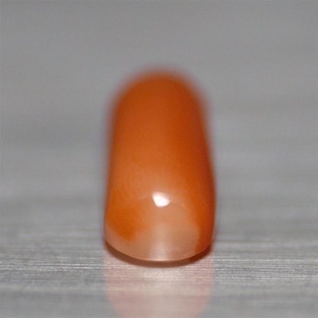 赤珊瑚　ルース　37016