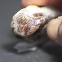 vellore バローベ LO-0413 筋目タガネ リガータ | mineralhonpo