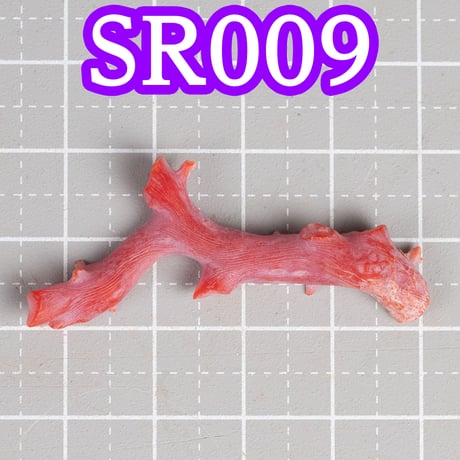 血赤珊瑚研磨セット　(国産珊瑚を磨いてブローチを作ろう！)