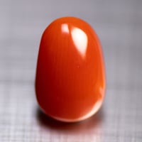血赤珊瑚　ルース　30608