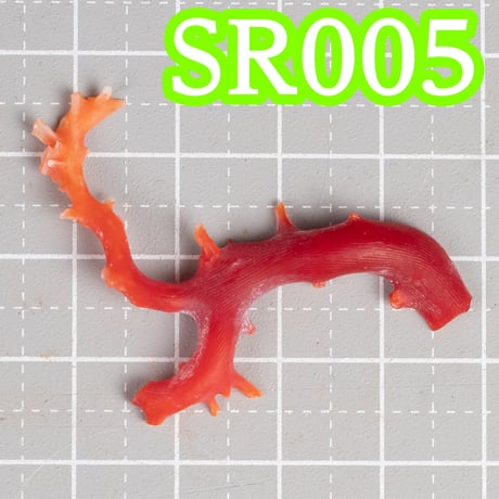 血赤珊瑚研磨セット　(国産珊瑚を磨いてブローチを作ろう！)