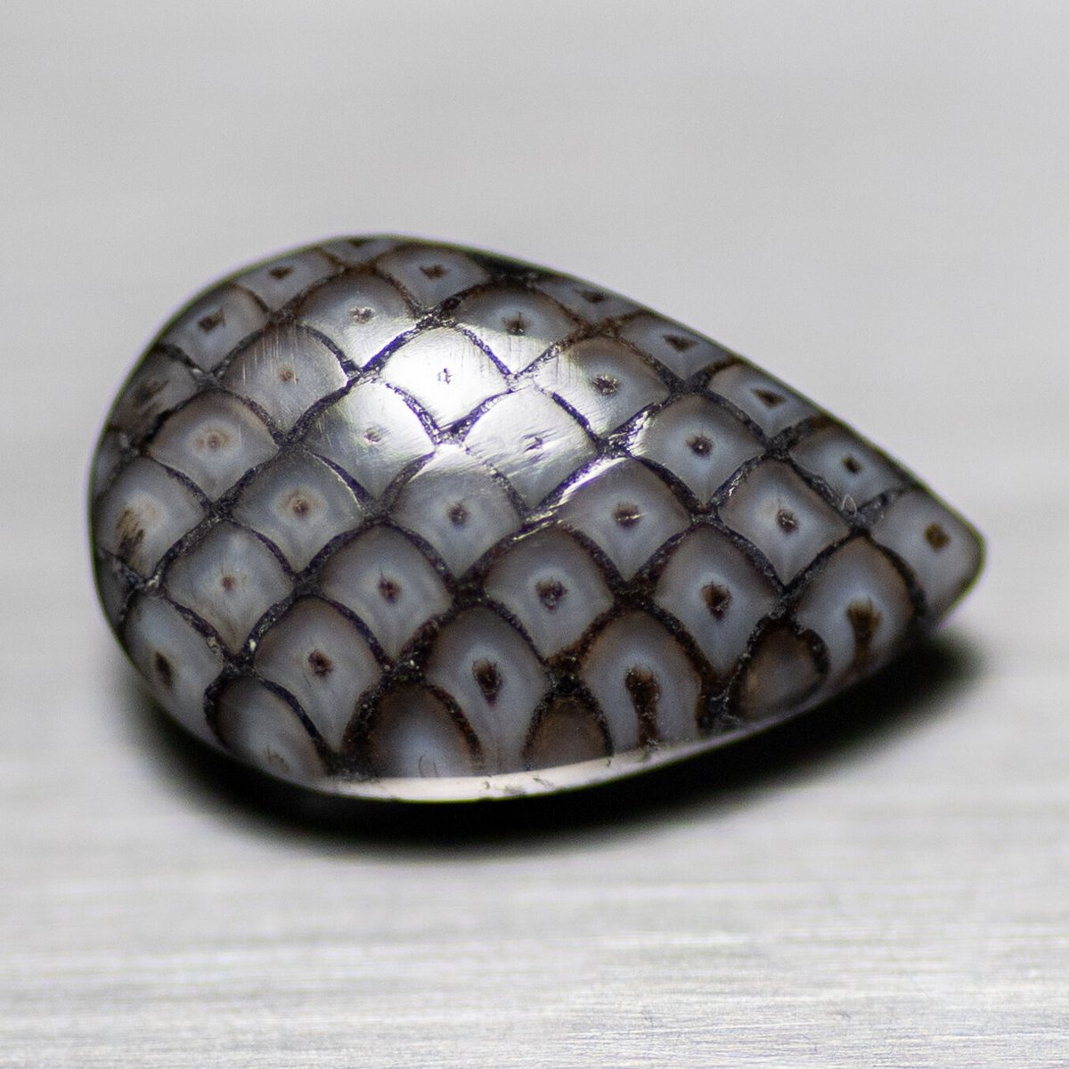 クリスタル　スネークスキンベルト　M クリスタル スネークスキンベルト M Amazon | メンズ